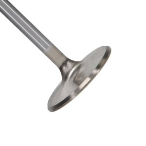 Ford V8 Engine Intake Valves (Set of 8) - Manley Performance - Race Series Stainless Steel - `99-`12 Ford V8 Engine Intake Valves (Set of 8) - Manley Performance - Race Series Stainless Steel - `99-`12